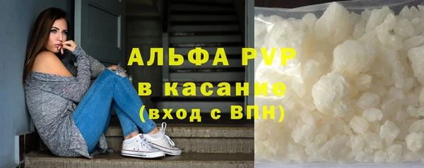 индика Баксан