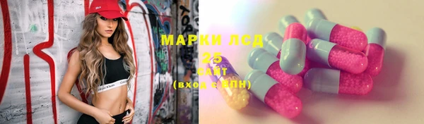 индика Баксан