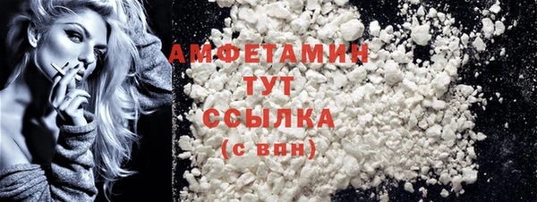 индика Баксан
