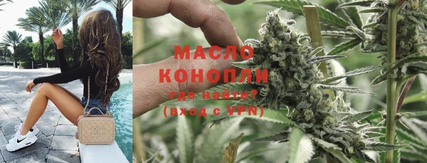 индика Баксан