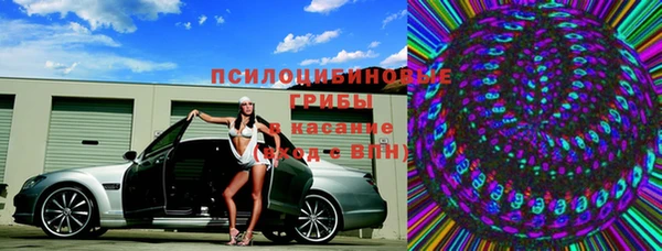 индика Баксан
