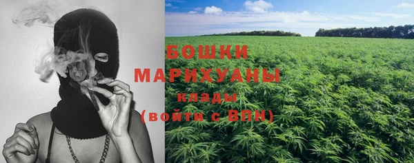 индика Баксан