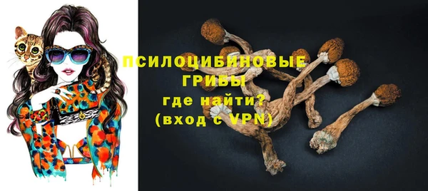 индика Баксан